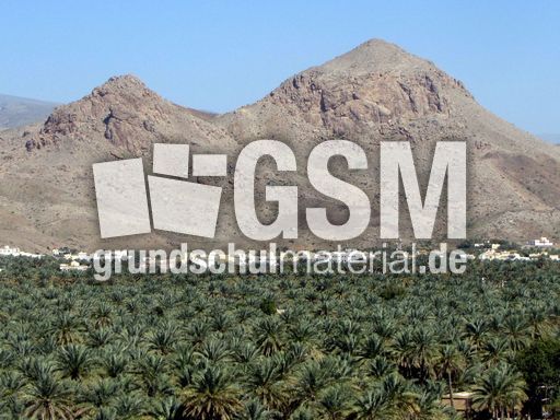 156 Oase Al Hamra, Landschaft.JPG